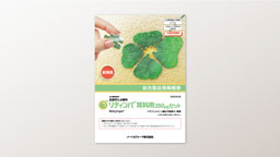 Key visual for pharmaceutical products and promotion material for "Retympa otological 250µg set"